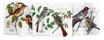 Field Notes Birds & Trees of North America (3-Pack) Notebooks